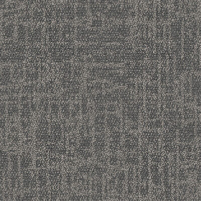 NH611 - Natural History Collection - Antrade